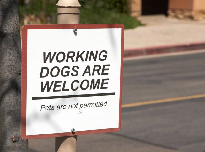 working-dogs-sign.jpg.653x0_q80_crop-smart